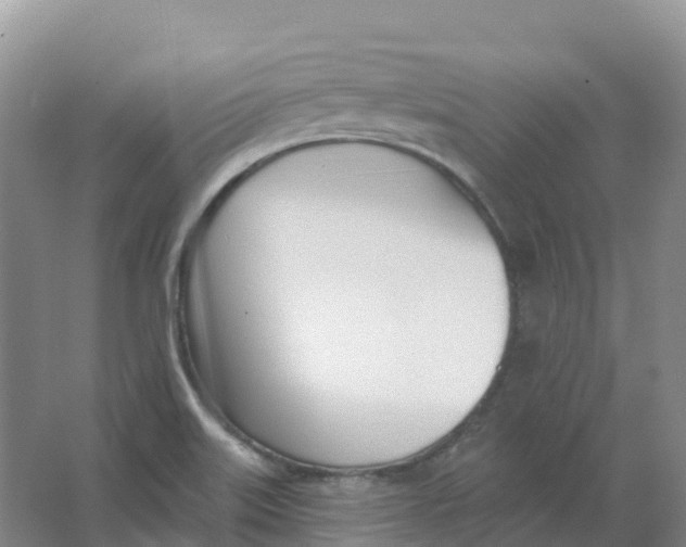X0000066991515200604142219