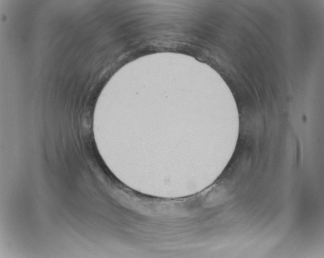 X0000066990040200604212009