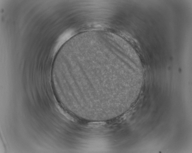 X0000066990051200604212008