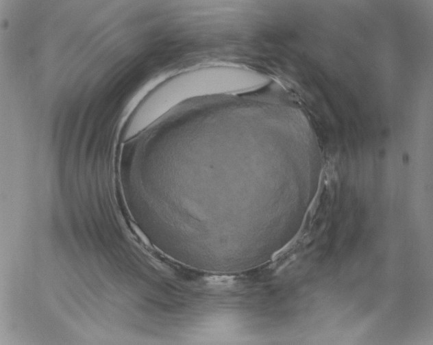 X0000066990052200604212008