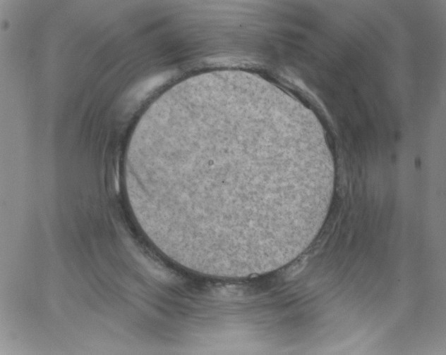 X0000066990062200604212008