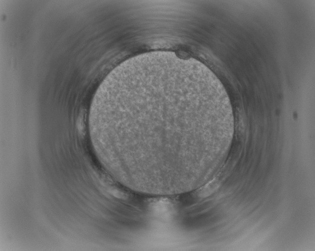 X0000066990074200604212008
