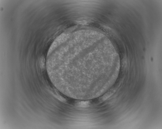 X0000066990081200604212008