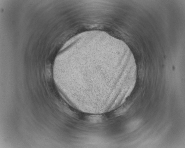 X0000066990085200604212009