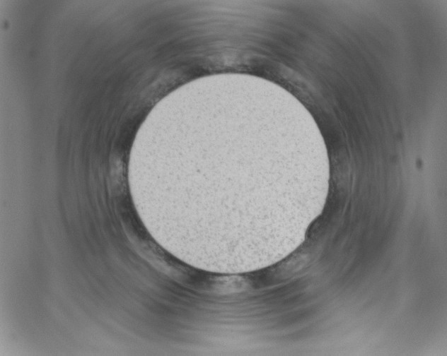 X0000066990087200604212009