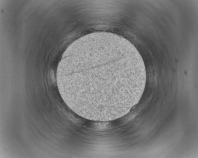 X0000066990089200604212009