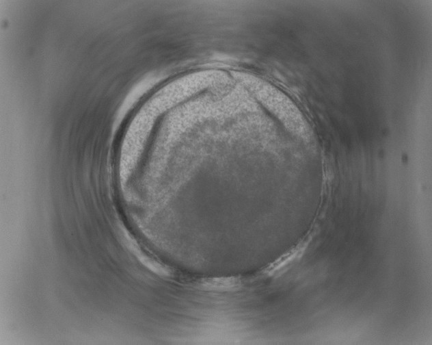 X0000066990102200604212008