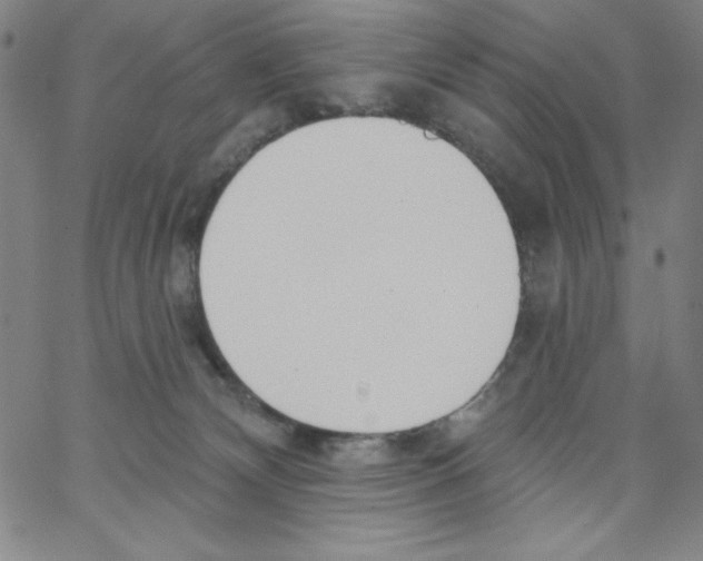 X0000066990132200604212007