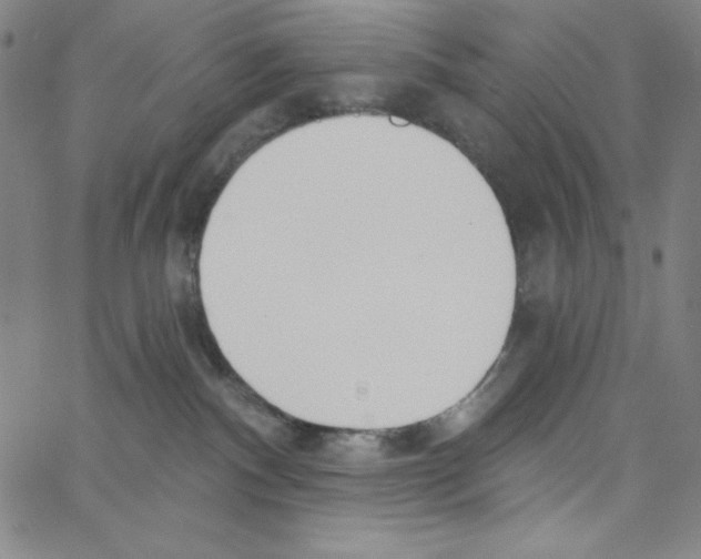X0000066990140200604212007
