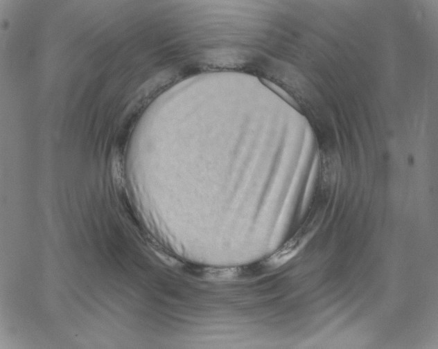 X0000066990143200604212007