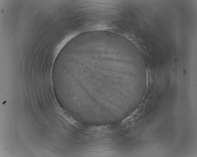 X0000066990147200604212006