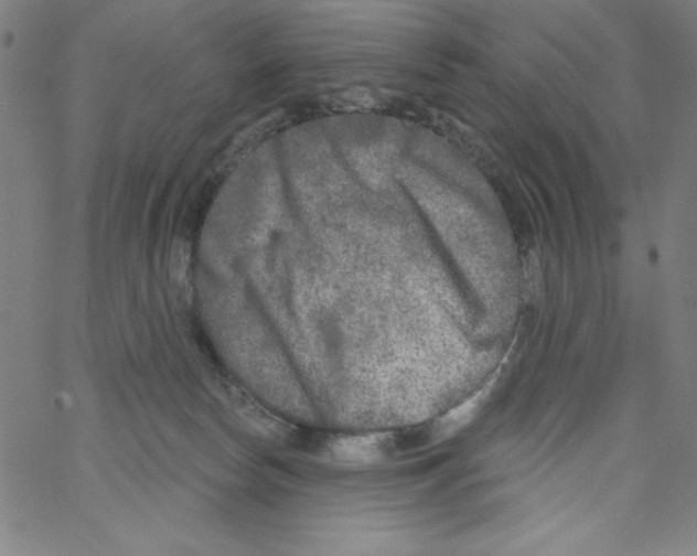 X0000066990178200604212007
