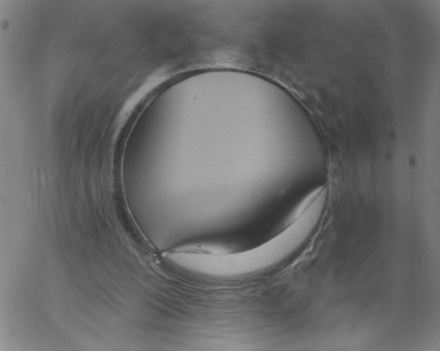 X0000066990200200604212006