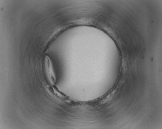 X0000066990201200604212006