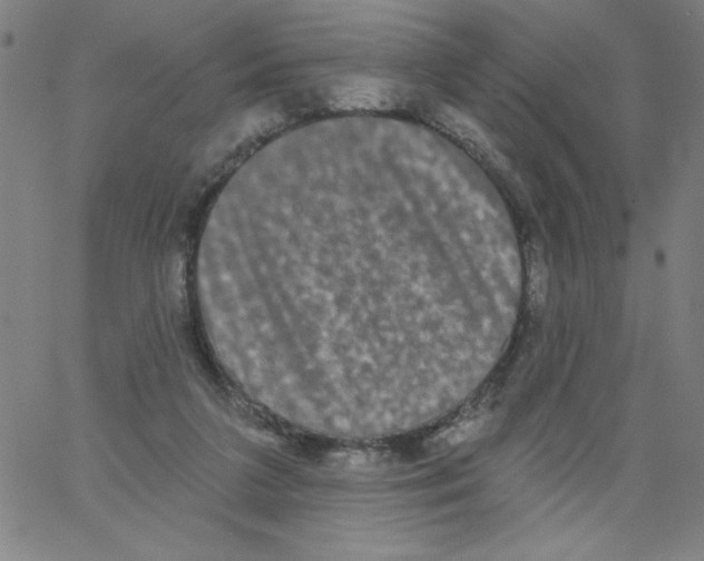X0000066990211200604212006