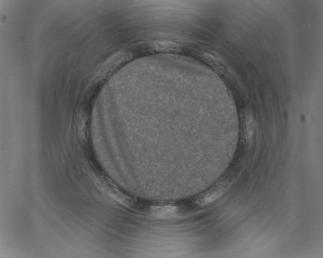 X0000066990266200604212005