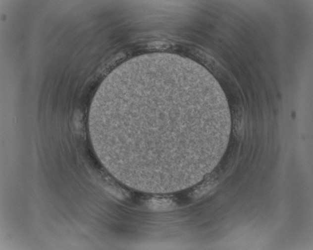 X0000066990270200604212005