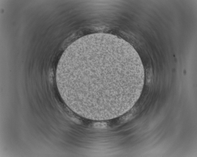 X0000066990279200604212005