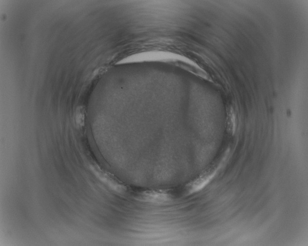 X0000066990284200604212005