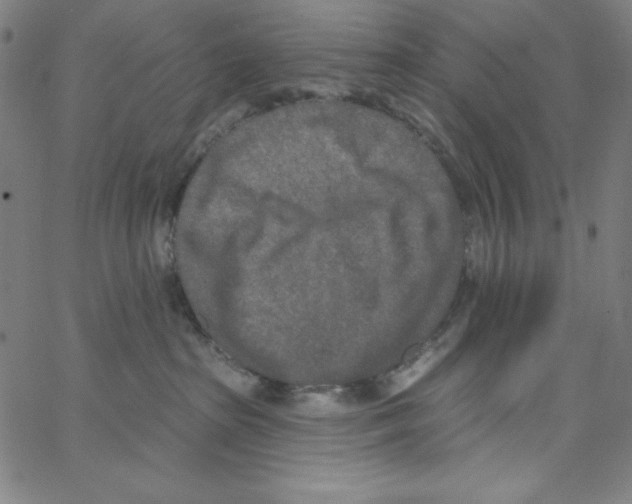 X0000066990285200604212005