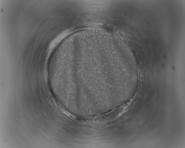 X0000066990294200604212005