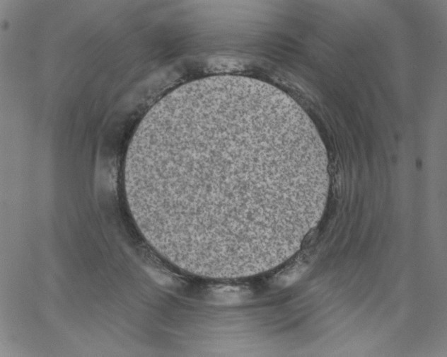X0000066990315200604212004