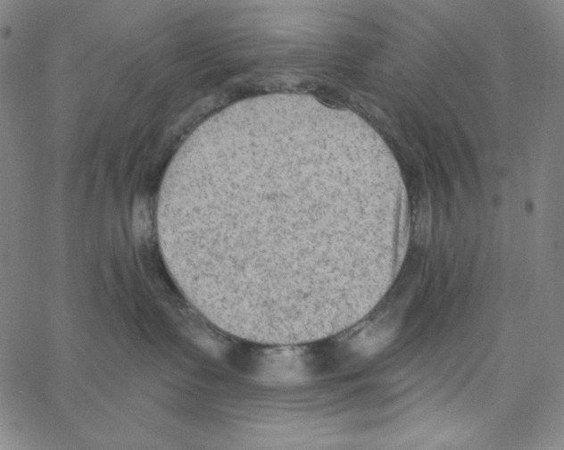X0000066990335200604212004