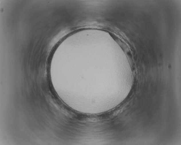 X0000066990344200604212003