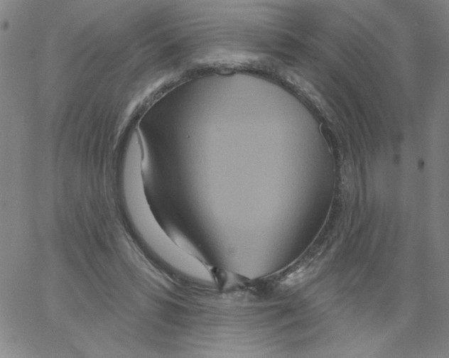 X0000066990399200604212003