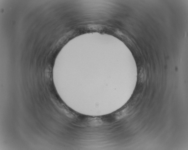X0000066990424200604212002