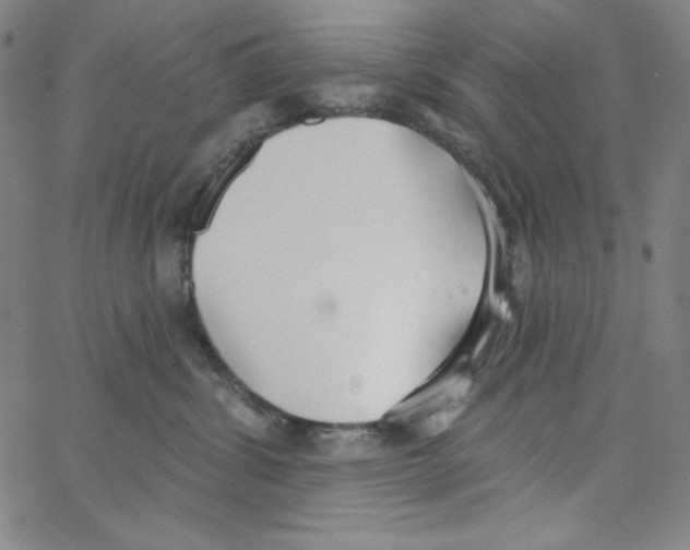 X0000066990428200604212002