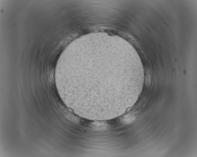 X0000066990477200604212002