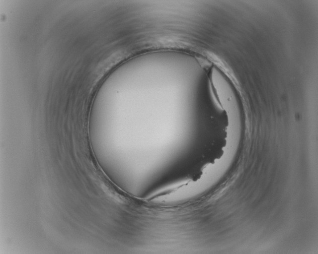 X0000066990481200604212001