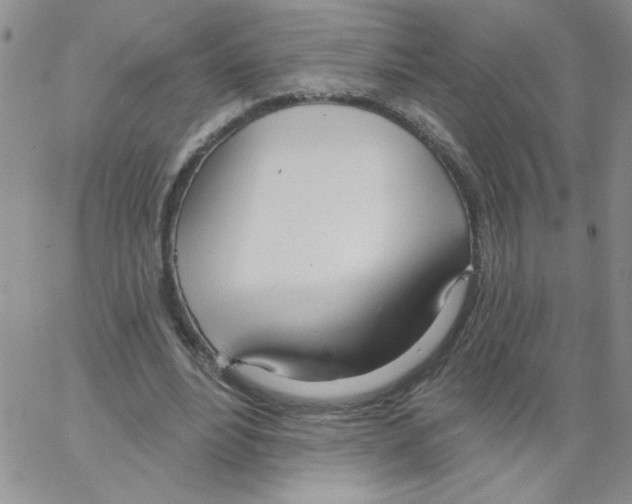 X0000066990488200604212001