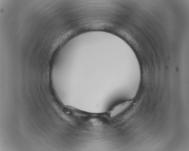 X0000066990493200604212001