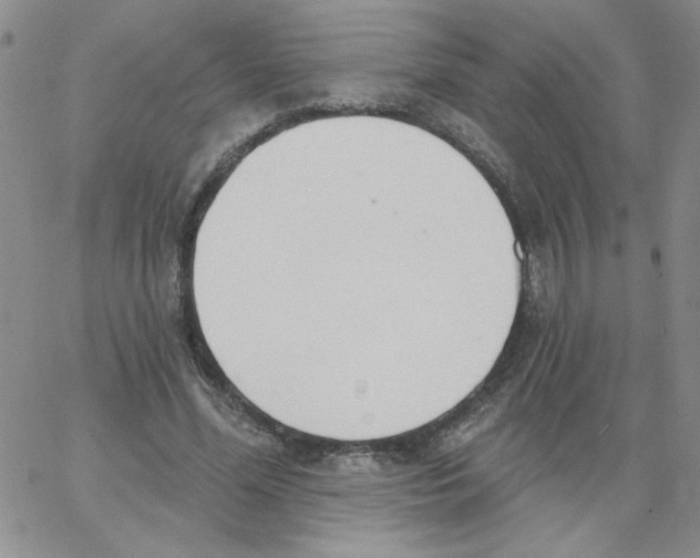 X0000066990588200604212000