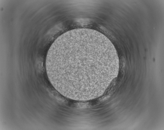 X0000066990615200604211959