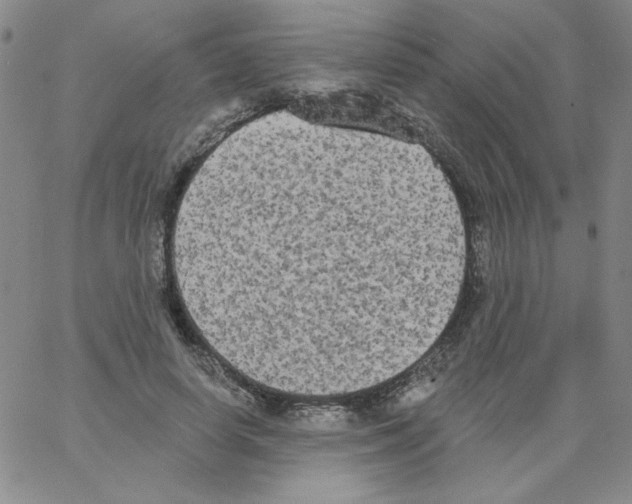 X0000066990642200604211959