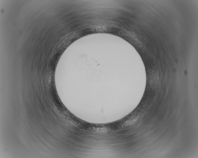 X0000066990645200604211959