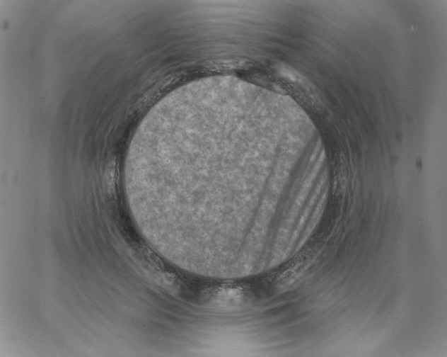 X0000066990647200604211959