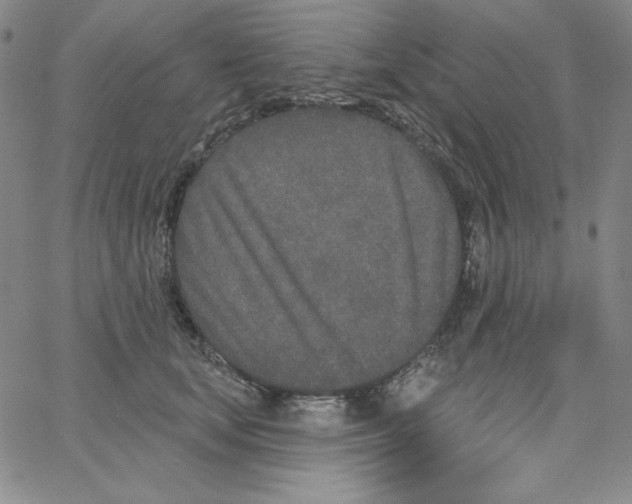 X0000066990659200604211959