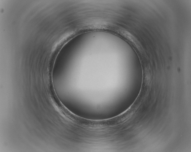 X0000066990677200604211958