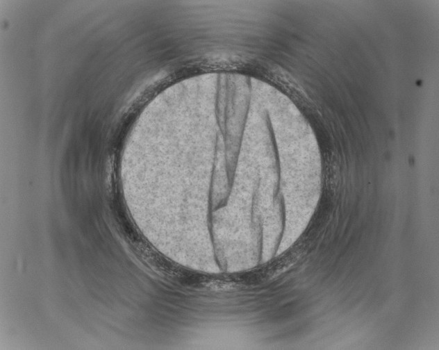 X0000066990742200604211957