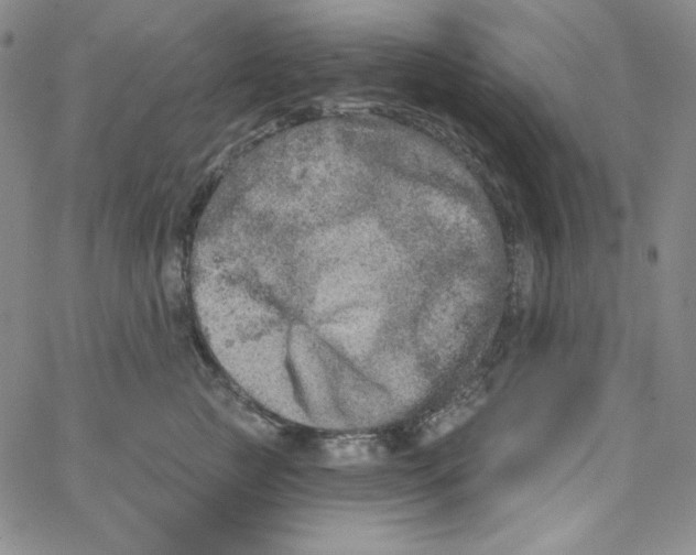 X0000066990761200604211957