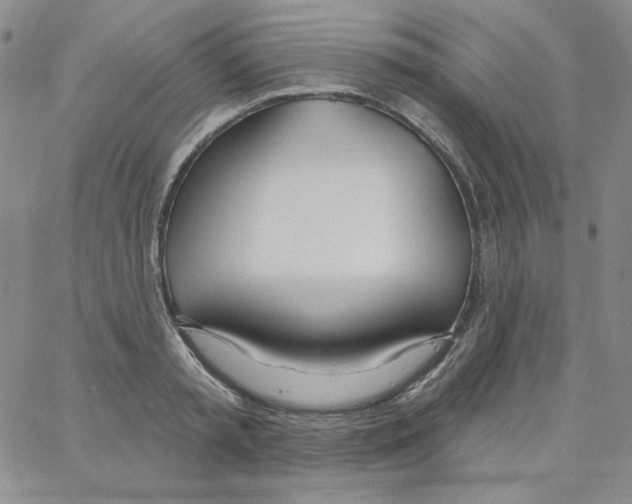 X0000066990797200604211956