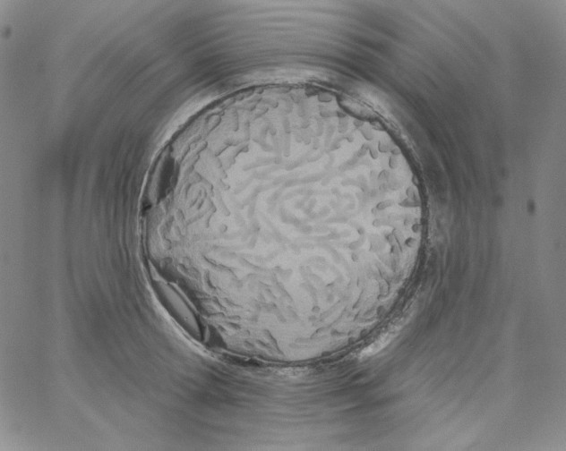 X0000066990802200604211956