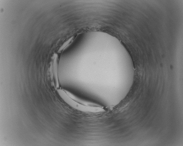 X0000066990818200604211955