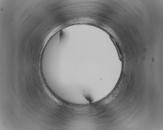 X0000066990850200604211956