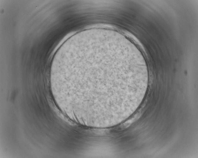 X0000066990860200604211956