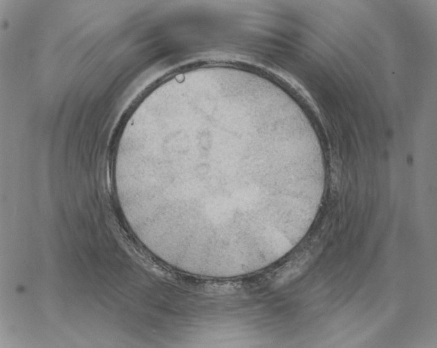 X0000066990887200604211955